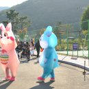 의령 거장산 오토캠핑장 | 2025년 의령 거장산오토캠핑장 핼러윈 행사