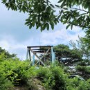 게으른 악어 이미지