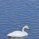 외동배수펌프장 이미지