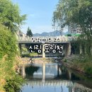 신림도림천 일상데이트 코스 추천, 걷기 좋은 힐링 산책길