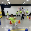 용인대 효태권도장 이미지