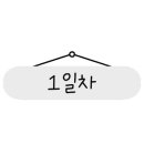 뉴평화익스프레스