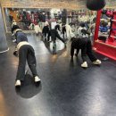 탑 복싱체육관 이미지