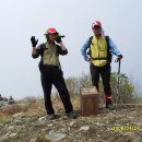 생일면-1 이미지