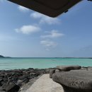 강정동-53 | [제주여행]제주 등대 아구찜(전현무계획2), 스타벅스 서귀포dt,협재해수욕장,용이식당