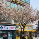 내돈내산 관악구 짬뽕 맛집 신림 작은 중식당 리우 강추