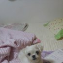 강화동로 이미지