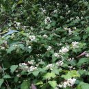 한길공원 이미지