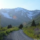 고비농장 이미지