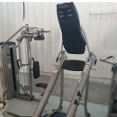 Cybes PL Leg Press외 기구 판매합니다 이미지