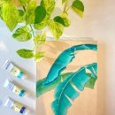 현대민화 쉽게 그리기 이미지