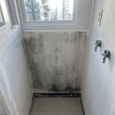 청솔바이오 | 서울 답십리동 청솔우성아파트 베란다페인트 탄성코트 바이오세라믹 시공후기