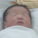 웰하이여성아동병원 이미지