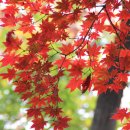 연제구-072 이미지