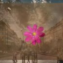 주식회사 한국광물 이미지