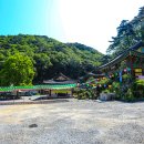 월리사 사적비 이미지