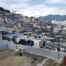 서구-02-22 이미지