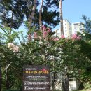 영덕레스피아 인라인하키장 | 용인 흥덕, 가벼운 산책 영덕 레스피아 공원