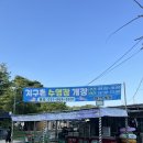 지구촌 | 고양 삼송 야외수영장 취사가능 지구촌수영장 후기