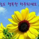 대흥행정사사무소 이미지