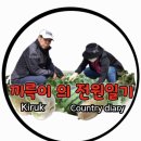 6/9.참외.호박 순치기.끼륵이의 전원일기 이미지