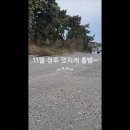 알바트로스투어 이미지
