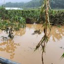 가수원경로당 이미지