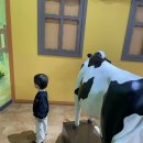 경기도박물관 | 경기도 어린이박물관 후기(겨울철 실내 아기랑 추천)