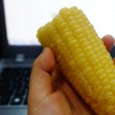 웹툰북 만들기 이미지