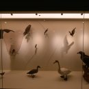 갯지렁이 전시관 이미지