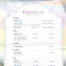 한여름밤의 야외음악회 | 한여름 밤의 호수음악회