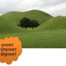 금천구립시흥도서관 이미지