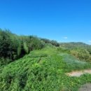 대암마을회관 이미지