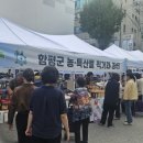 농장직거래장터