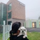 개덩이네 하우스 이미지