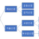 달천한의원 이미지