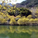 봄뜰요양병원 이미지