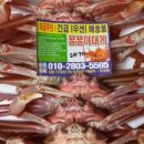 꿀꿀이수산