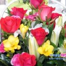 부평우일 이미지