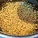 제주훈도애월흑돼지 이미지