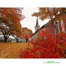 용소막농장 이미지