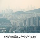 《미세먼지 배출에 도움주는 음식 5가지》 이미지