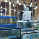 삼선횟집 | 성수 대방어 맛집 삼선회사랑 성수점 솔직 후기