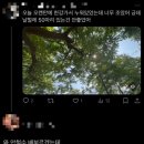 뒤죽박죽 동물원