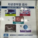 식사위여성의원 이미지