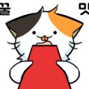 희망애견미용실 이미지