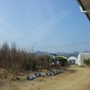 철수 농장 이미지