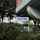 ANG | 경기광주 애견동반 카페 추천 송정동 앙투카페(ANG.TOO) 방문 후기