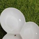 카니코리아 이미지