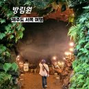 방림원 | 방림원 - 제주도 서쪽 부모님과 가볼만한 곳